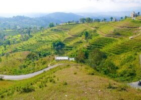 Tamang Heritage Trail-10 Days