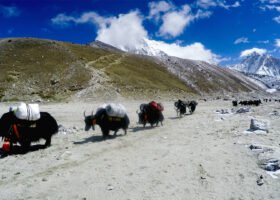 Everest Base Camp Cho La Pass Trek