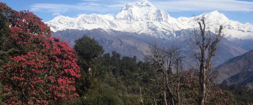 Mountains Seen From Poonhill