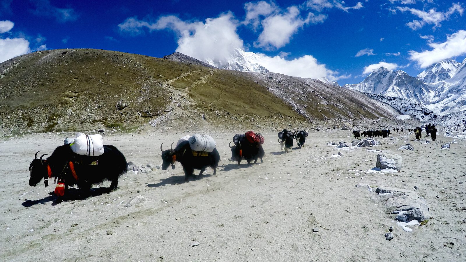 Everest High Passes Trek- 20 Days